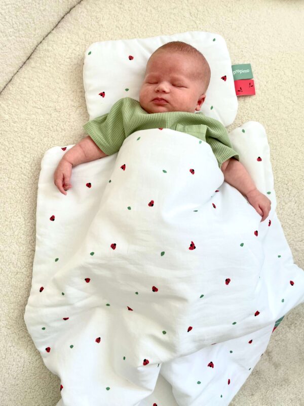 piapimo-kołderka coccinella-biedronki-