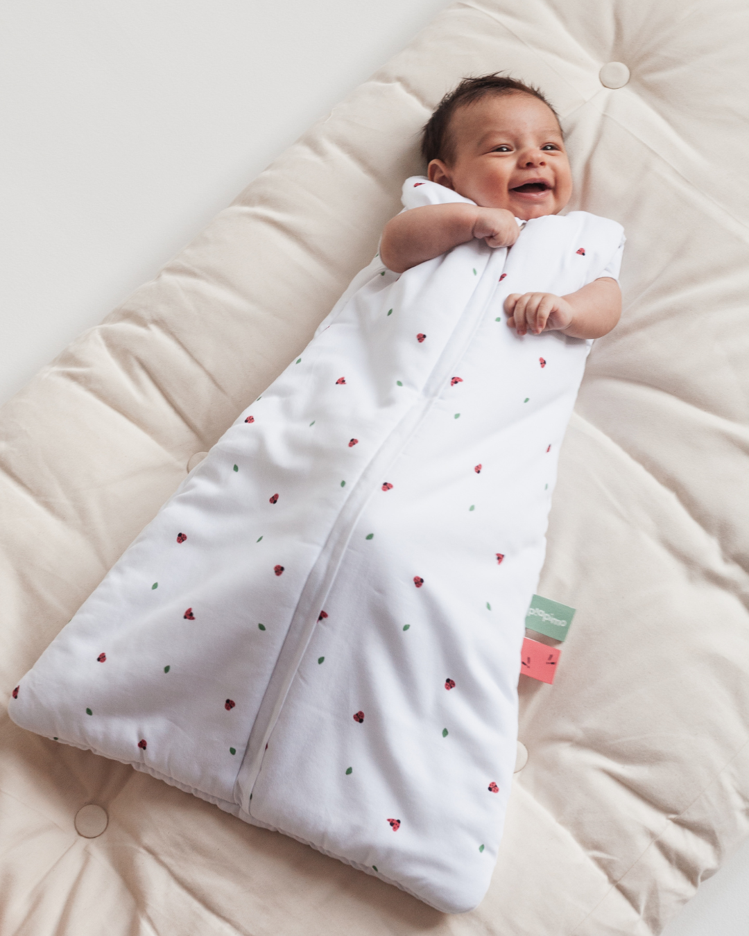 piapimo-coccinella-foresta-las-biedronki-spiworki